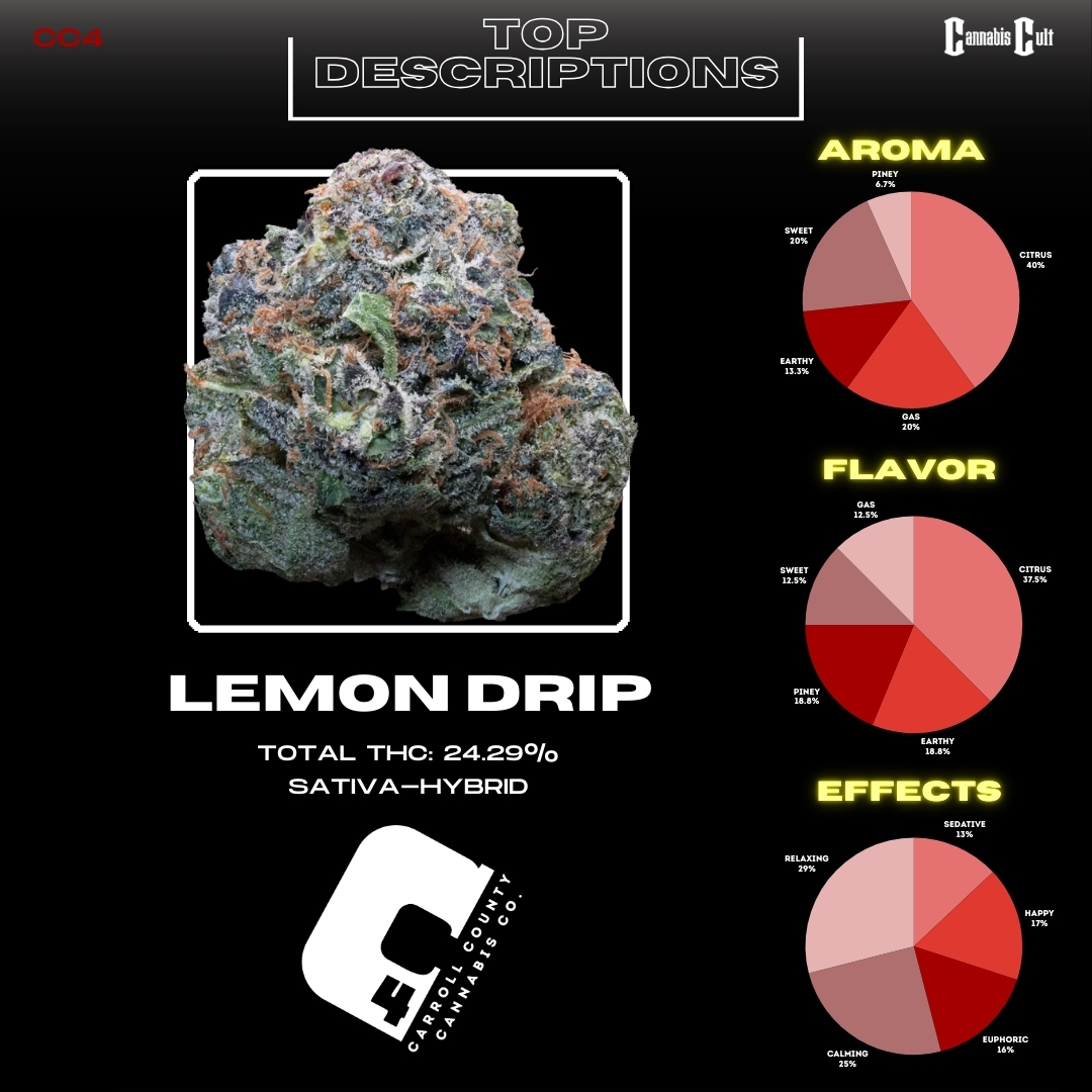Results for the 2024 Cannabis Cult Challenge Tournament round 3. 1st place to Vibe's RKO, 2nd place to Since's Cap Junky, 3rd place to Nuthera's Grape Cream Cake, and 4th place to C4's Lemon Drip.