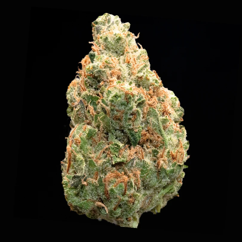 Conniosseur GMO Cookies Cultivar Review Card